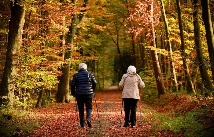 Revealed: best cities in England and Wales for walks for the elderly