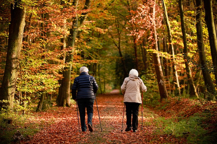Revealed: best cities in England and Wales for walks for the elderly