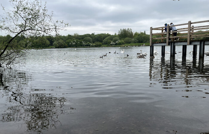 Blackleach Country Park: a green space oasis in a built-up area
