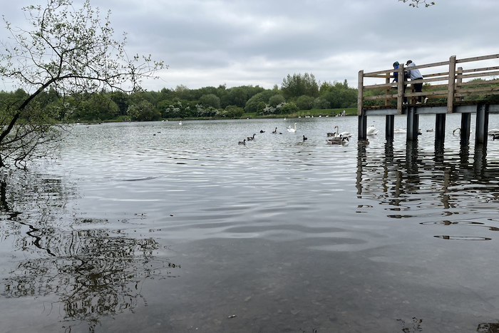 Blackleach Country Park: a green space oasis in a built-up area