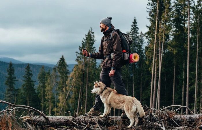 The UK ranks 9th in Europe for dog-friendly hiking trails