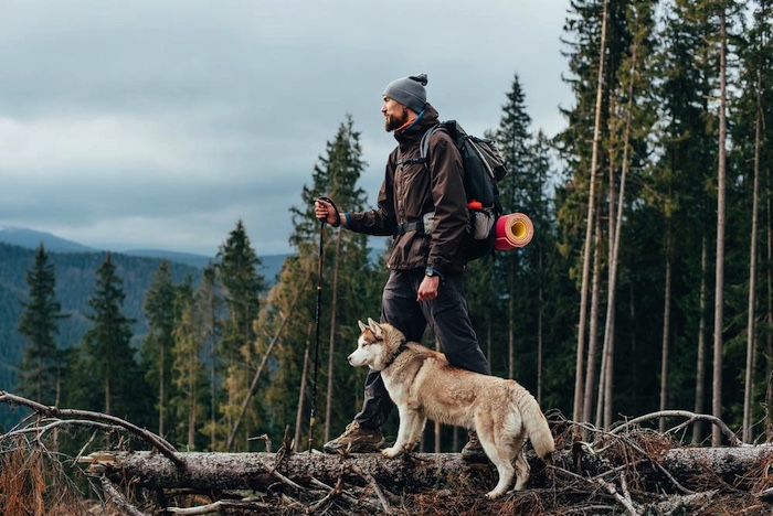 The UK ranks 9th in Europe for dog-friendly hiking trails