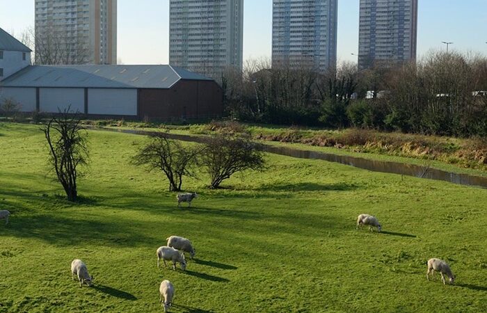 Which UK cities have the most green space?