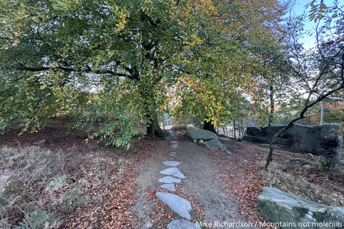 Image of a hiking path through woodland heading up to Stanage Edge