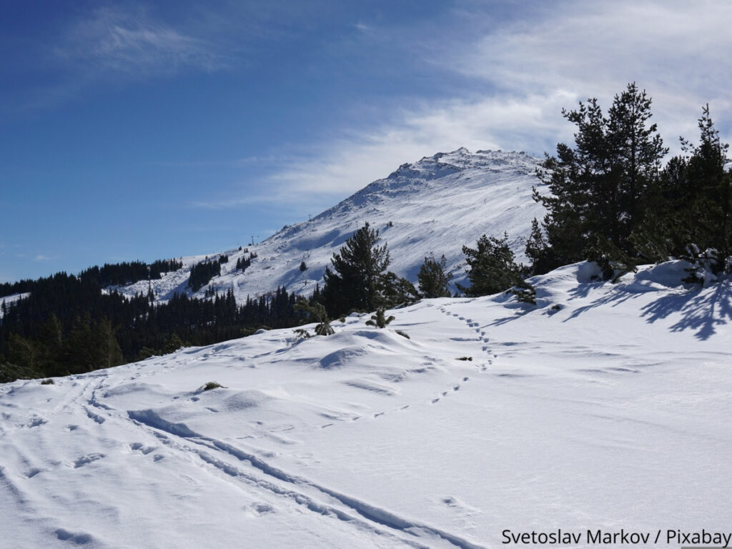 Snow covered ski area with tress and footprints in the snow