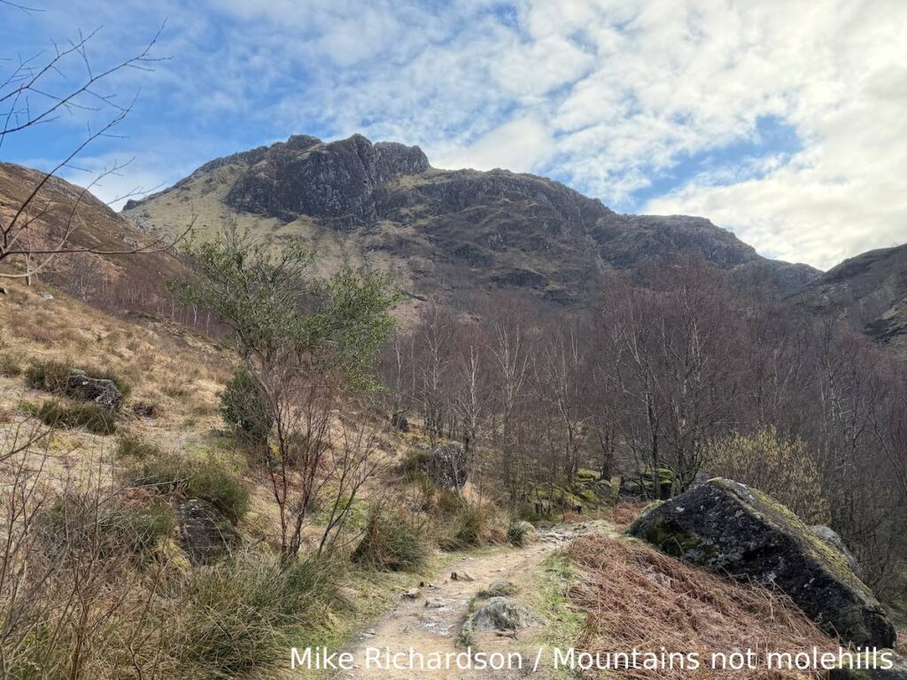 Woodland and mountains in the background