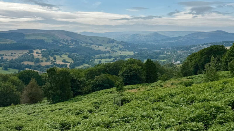 Padley Gorge + Bolehill Quarry | 3.5 Mile Circular