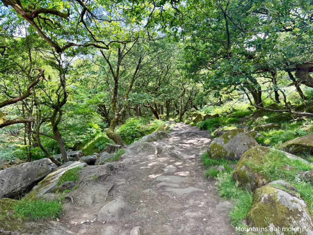 Woodland path into Padley Gorge