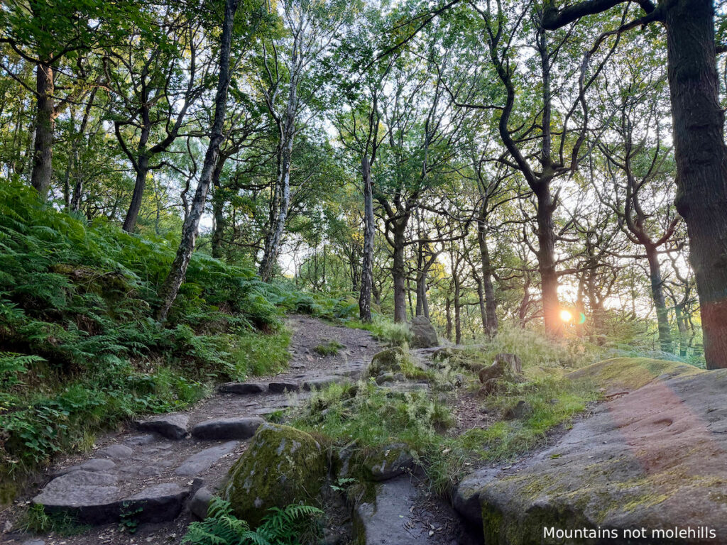 A well defined path through woodland with the sun shining through trees in Padley Gorge