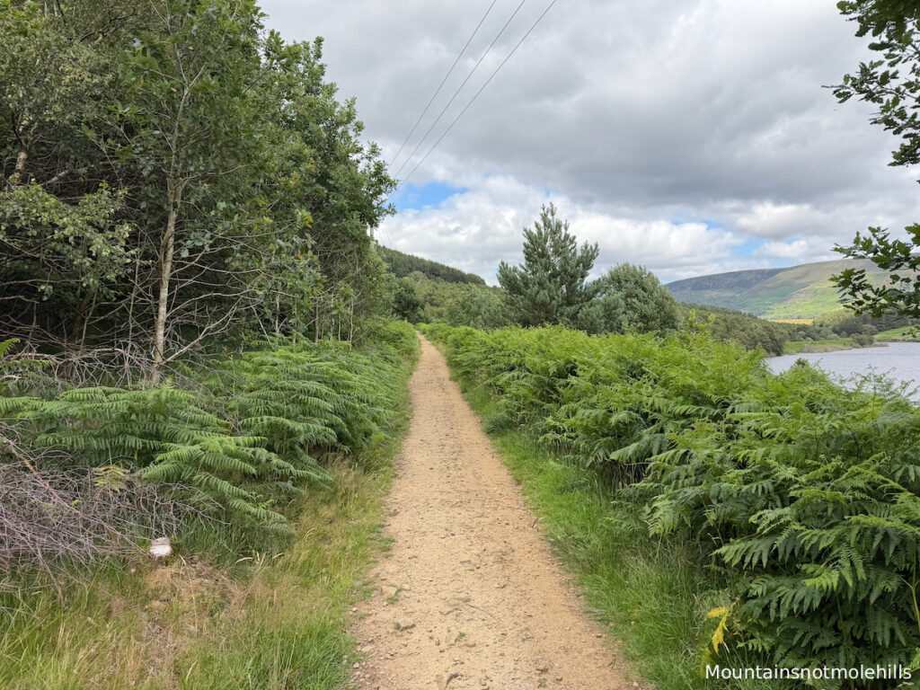 A dusty uneven path with Rhodeswood reservoir to the right