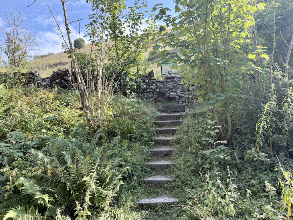 Steps leading up above the Monsal trail