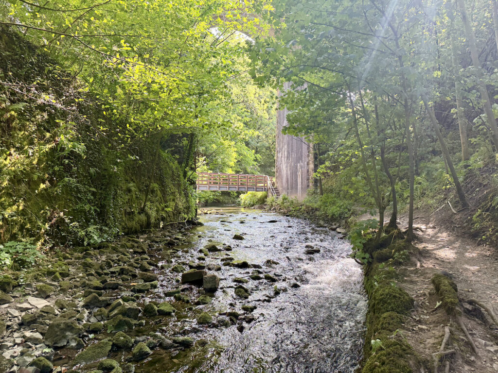 A narrow footpath along the River Wye