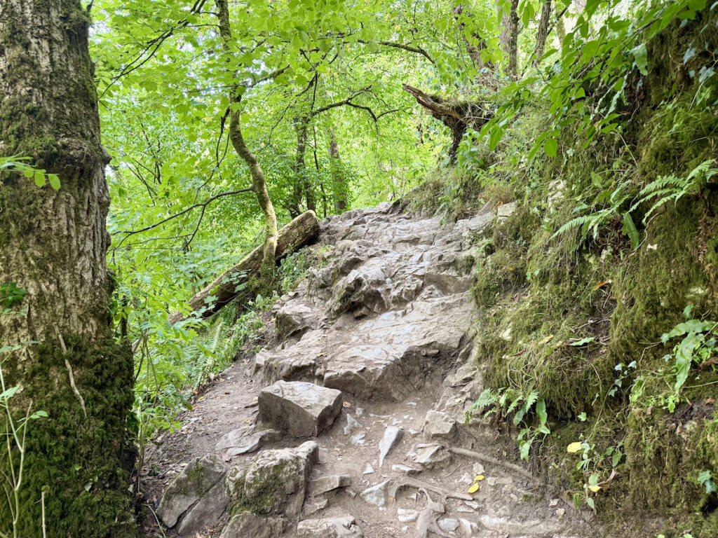 A rocky ascent along the early stages of Chee Dale walk