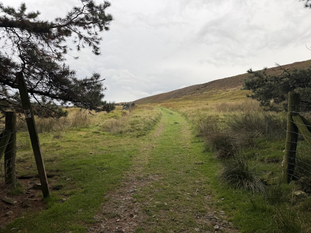 Grassy path leading up to Tintwistle waterfalls